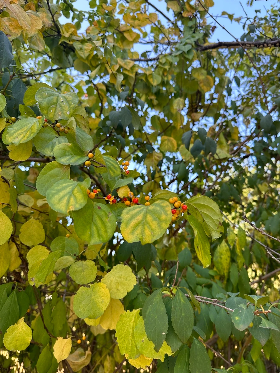 SE-b0a4e986-b75b-4731-aff2-eaee46314ab4.jpg?type=w1