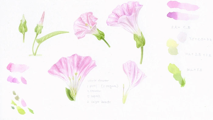 SE-422be3bd-f3b4-4058-8c5a-a7c79c7d97cb.jpg?type=w1