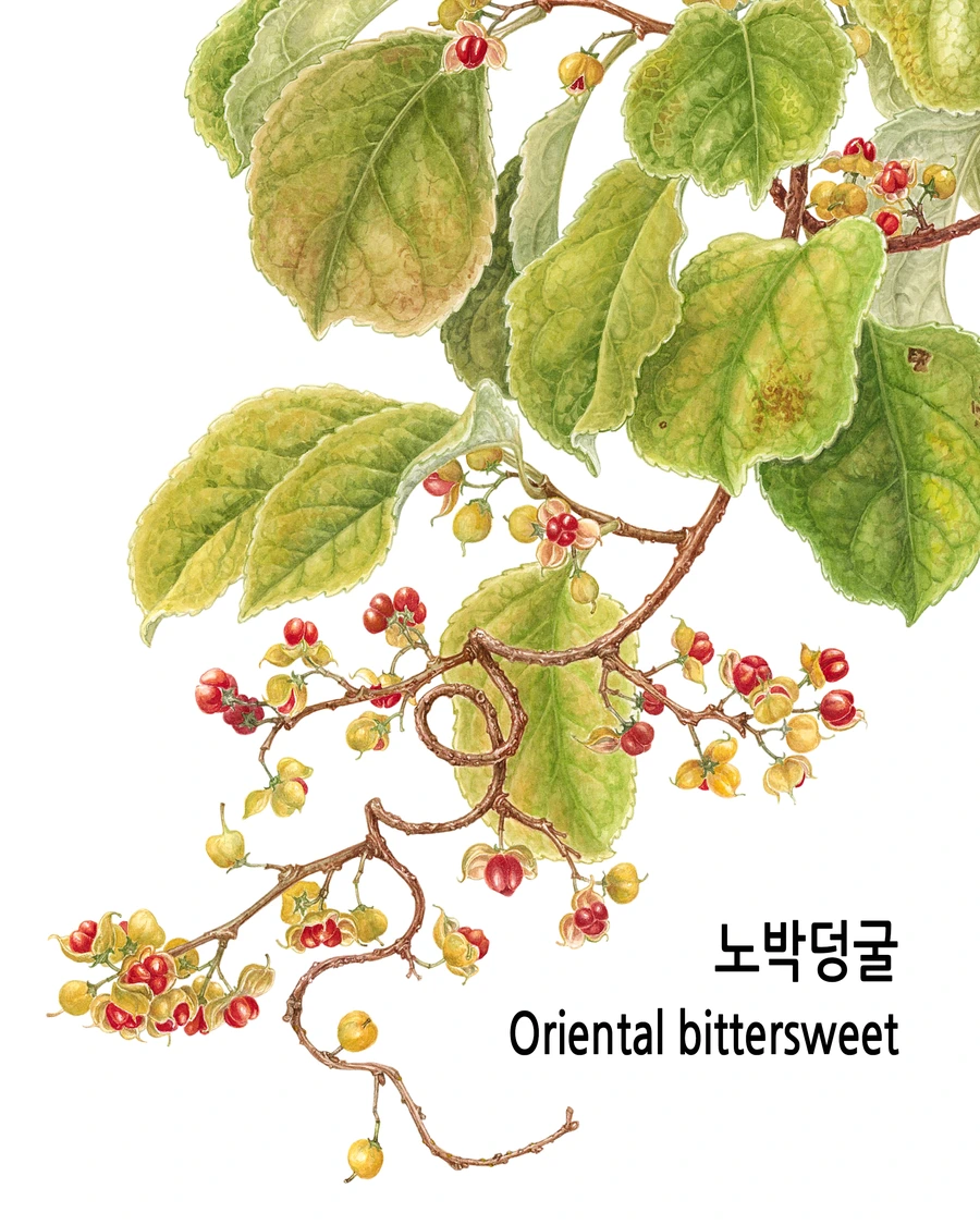 SE-1c7e4ae2-b471-4a63-86a2-c90737f2f1db.jpg?type=w1