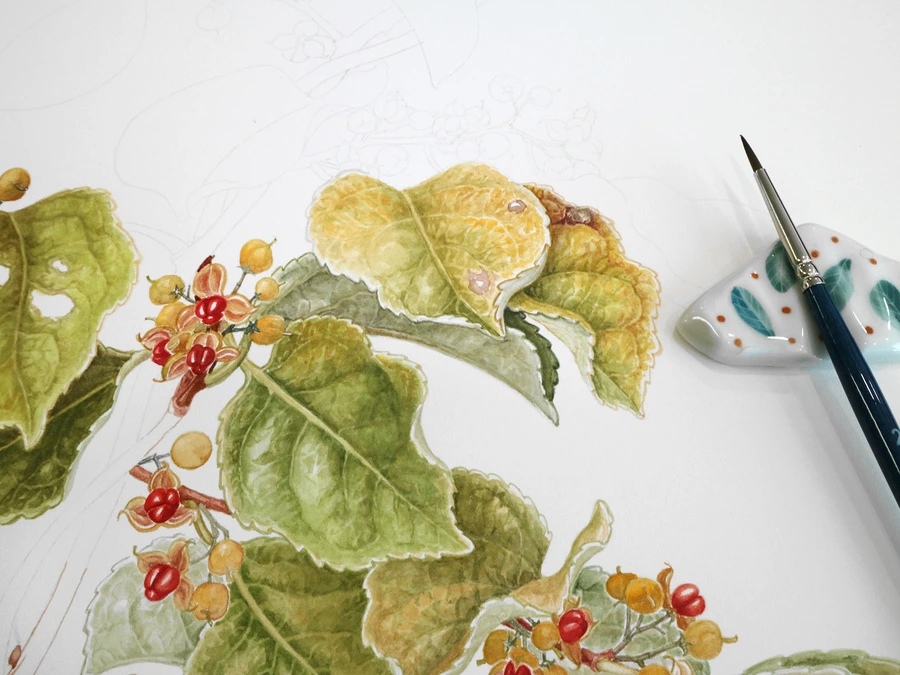 SE-afdf3aa8-d23e-44f9-8b9d-a5887e201e1d.jpg?type=w1