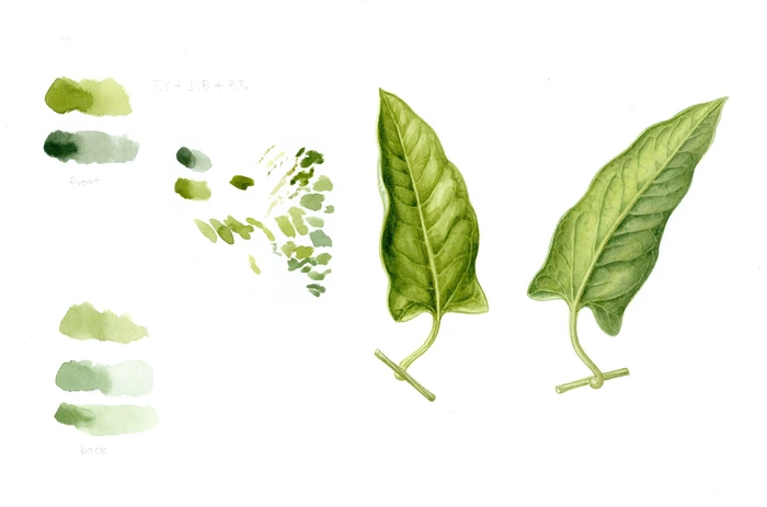 SE-11ef8ae6-2f4d-415d-b147-59ee9790af5f.jpg?type=w1