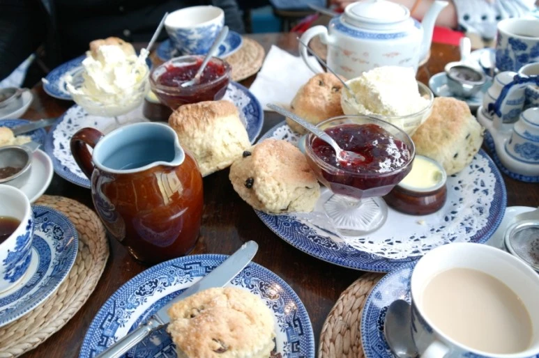 SAM%EF%BC%BF8503.JPG?type=w773