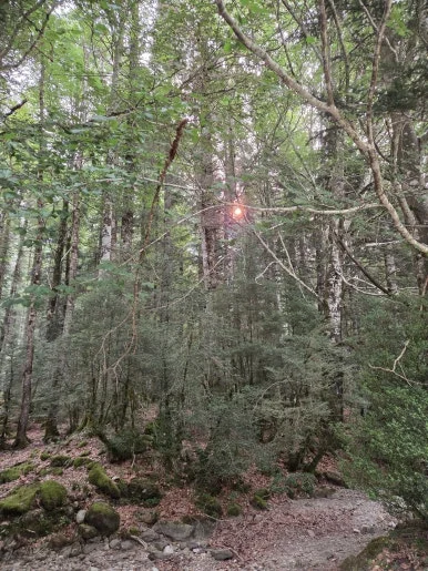 20250817_095803.jpg?type=w386