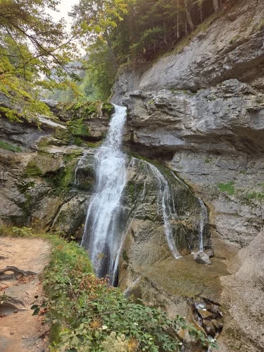 20250817_113330.jpg?type=w386