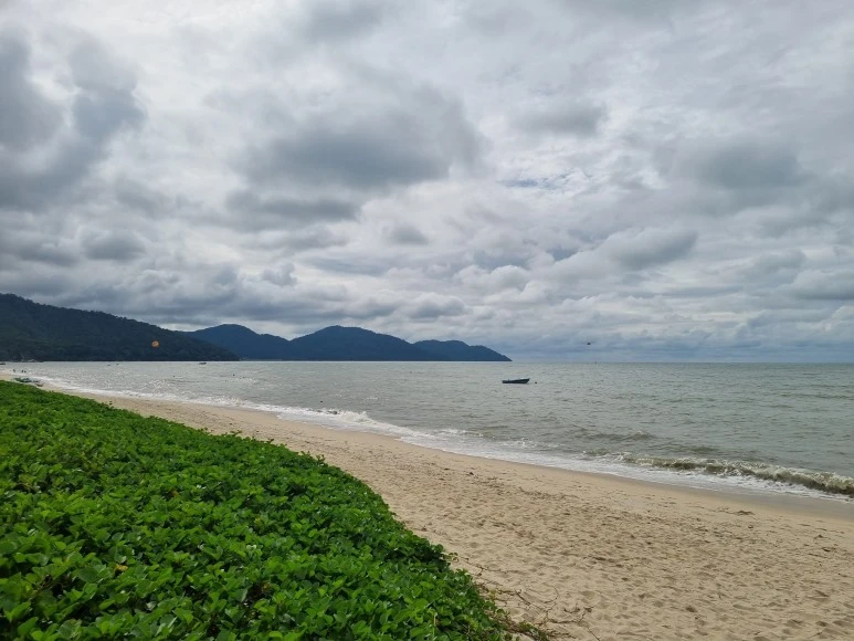 20230107_161438.jpg?type=w773