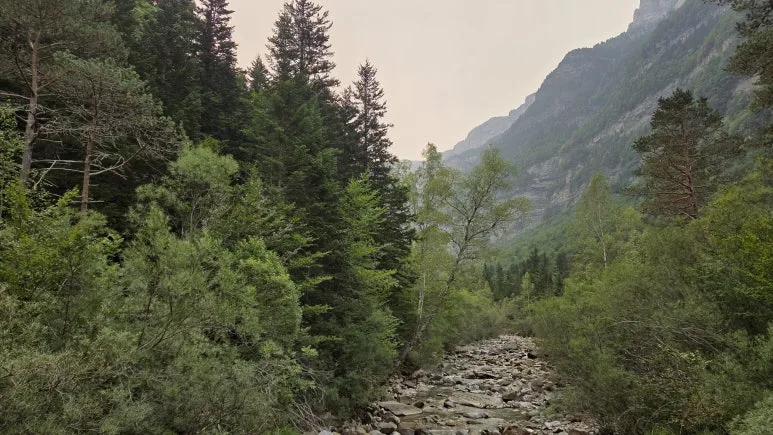 20250817_100554.jpg?type=w773