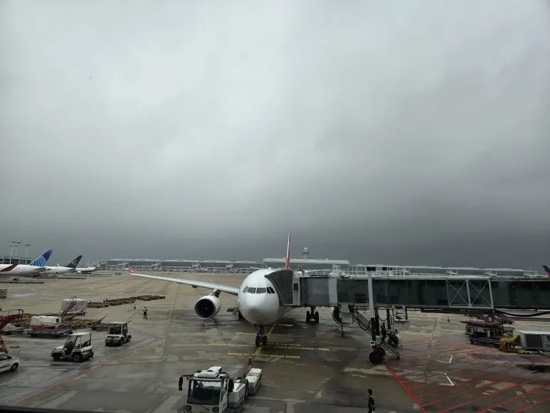 20250815_105307.jpg?type=w773