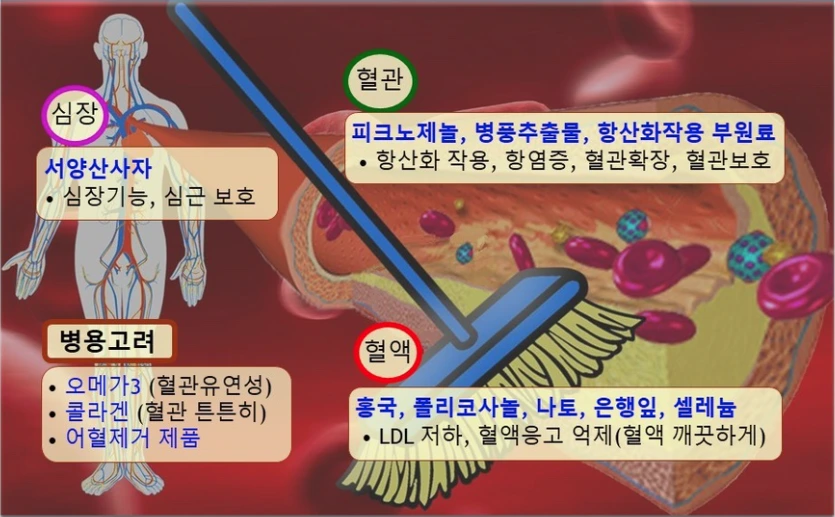 %ED%98%88%EA%B4%80%EC%B2%AD%EC%86%8C.png?type=w1