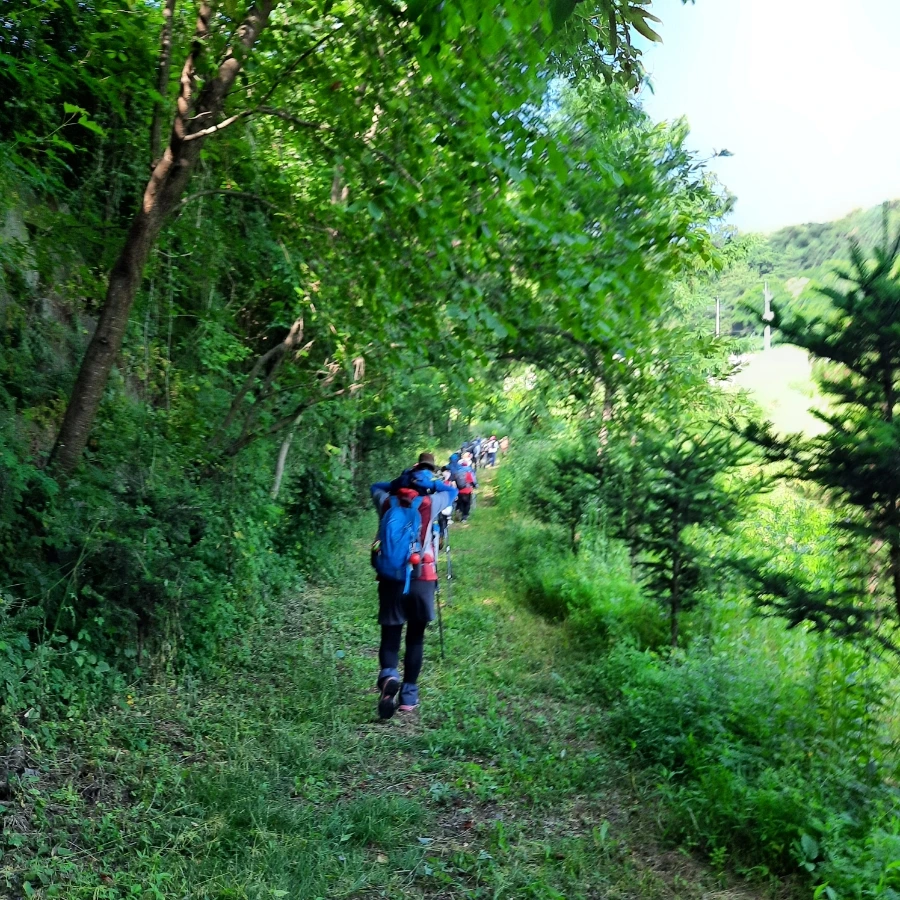 20240612%EF%BC%BF073344.jpg?type=w1