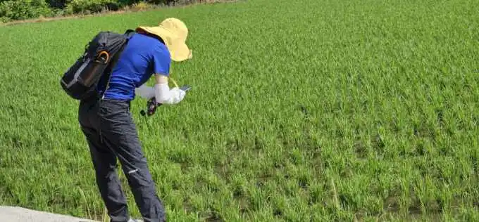 Resized%EF%BC%BF20240612%EF%BC%BF091120%EF%BC%BF1718157791891.jpg?type=w1