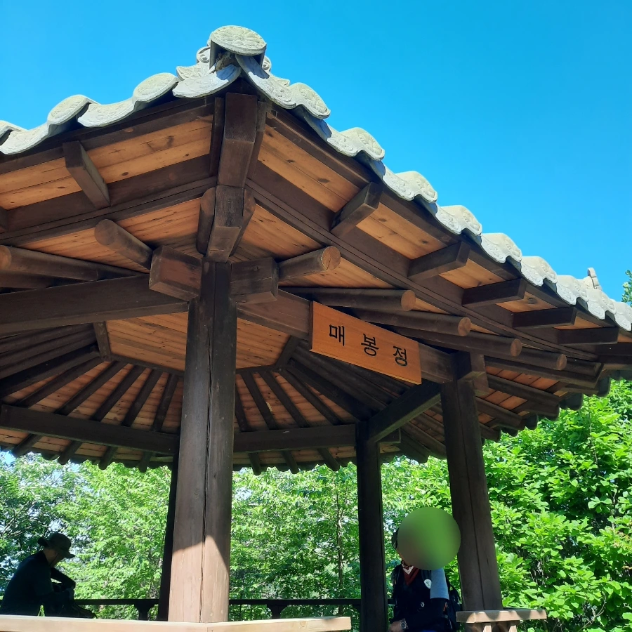 SE-d8fec84d-23ea-11ef-914b-55b59868e291.jpg?type=w1