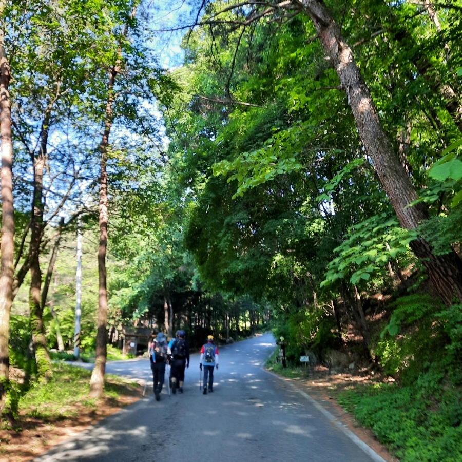 20240605%EF%BC%BF081128.jpg?type=w1