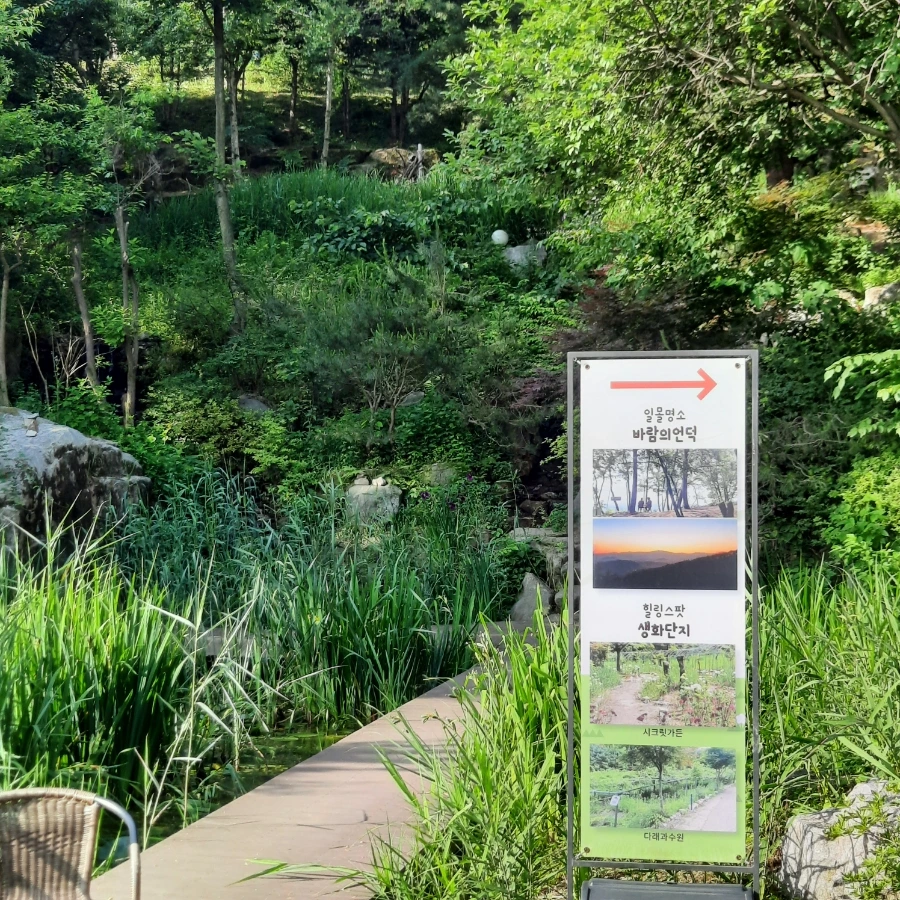 20240612%EF%BC%BF074355.jpg?type=w1