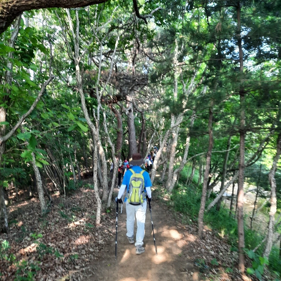 20240612%EF%BC%BF074917.jpg?type=w1