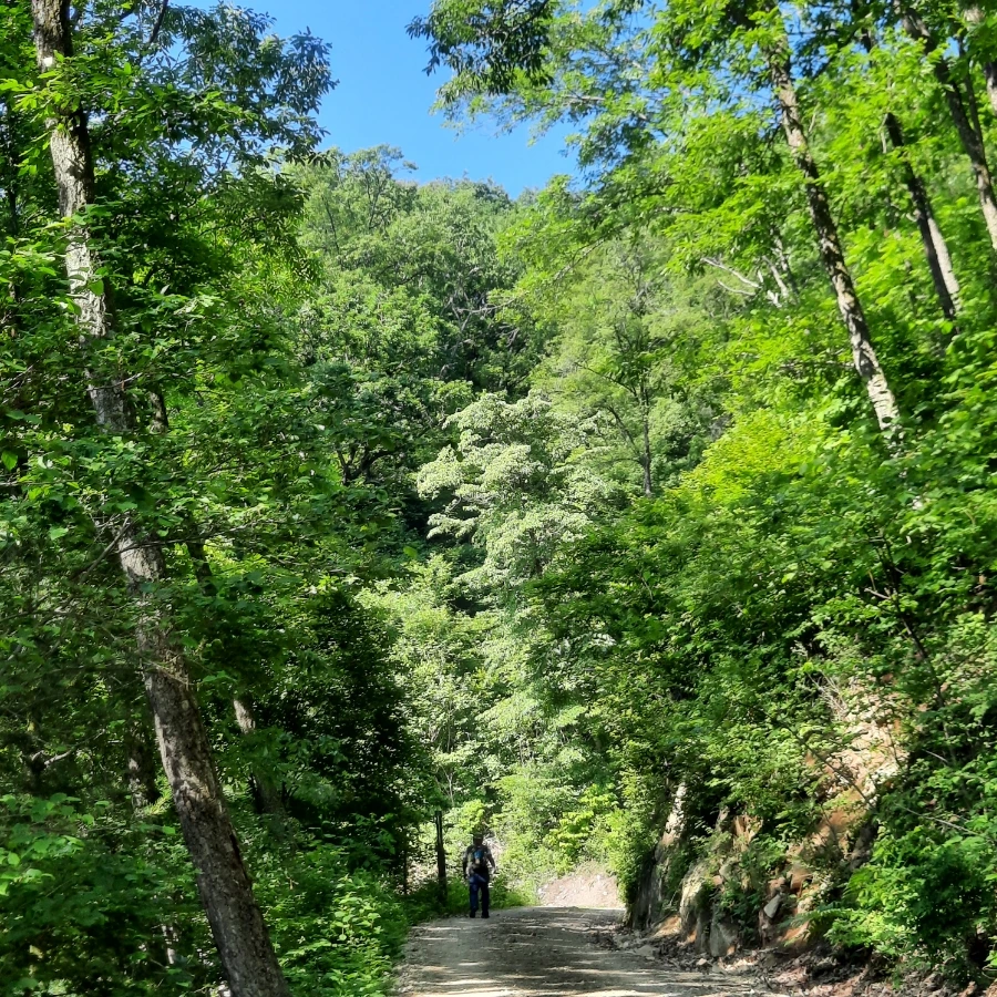 20240605%EF%BC%BF085315.jpg?type=w1