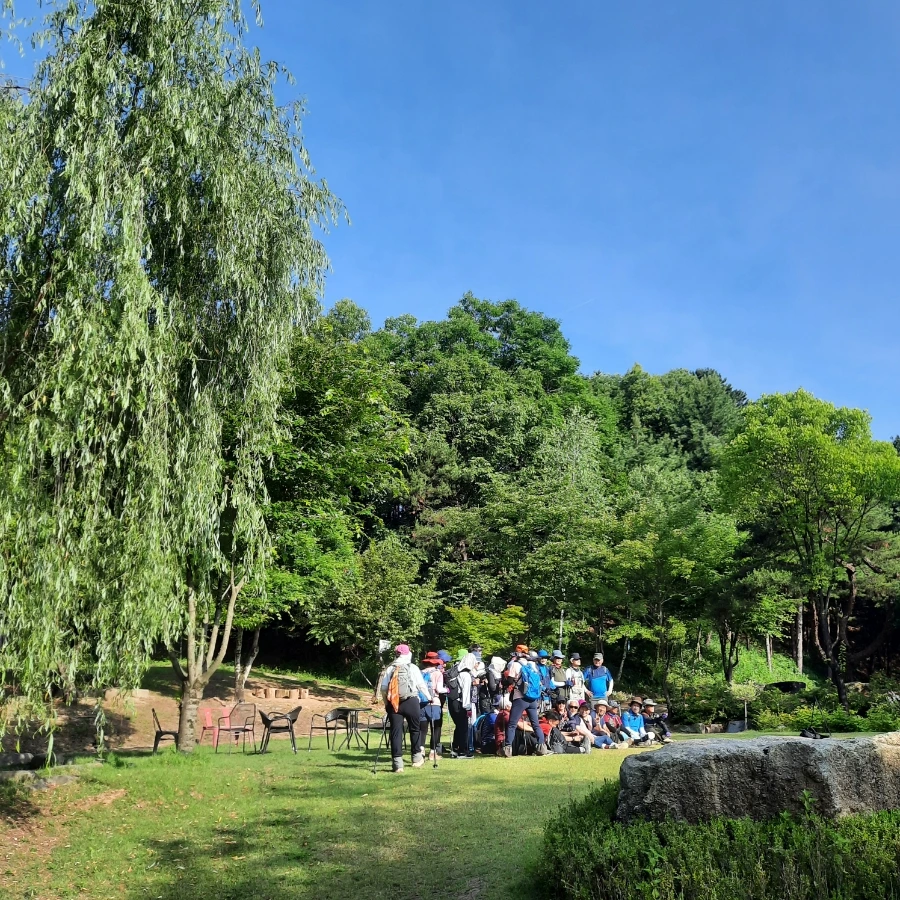 20240612%EF%BC%BF074223.jpg?type=w1