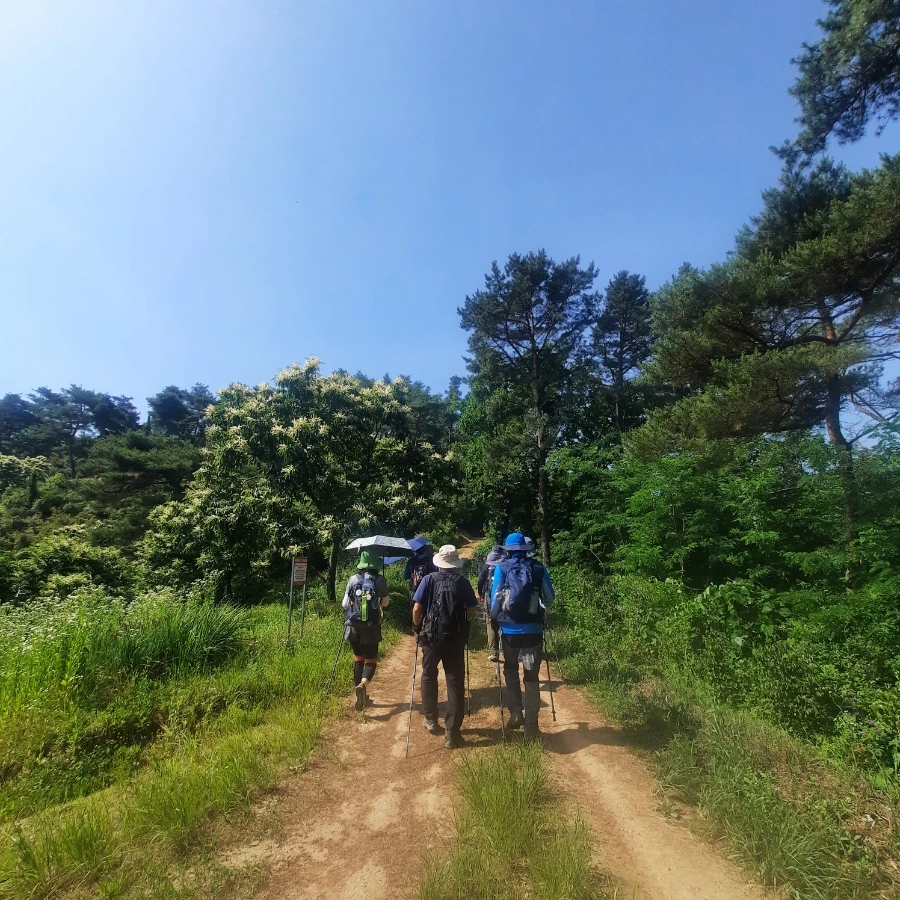 20240612%EF%BC%BF092200.jpg?type=w1