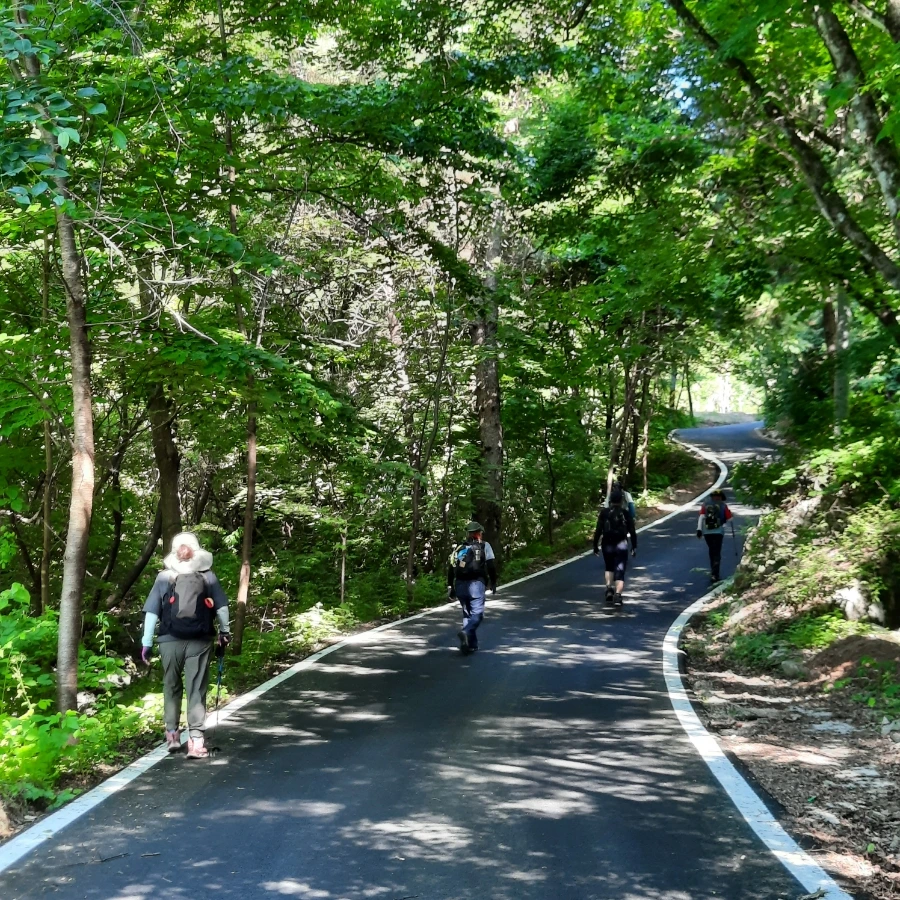 20240605%EF%BC%BF082738.jpg?type=w1