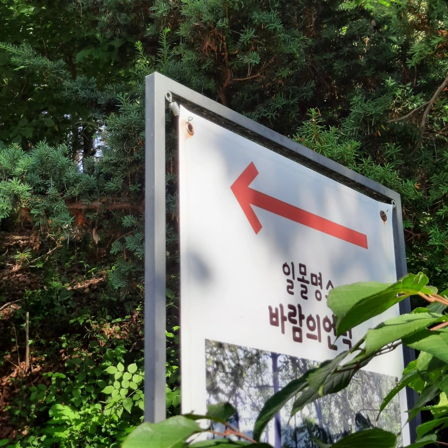 20240612%EF%BC%BF074427.jpg?type=w1