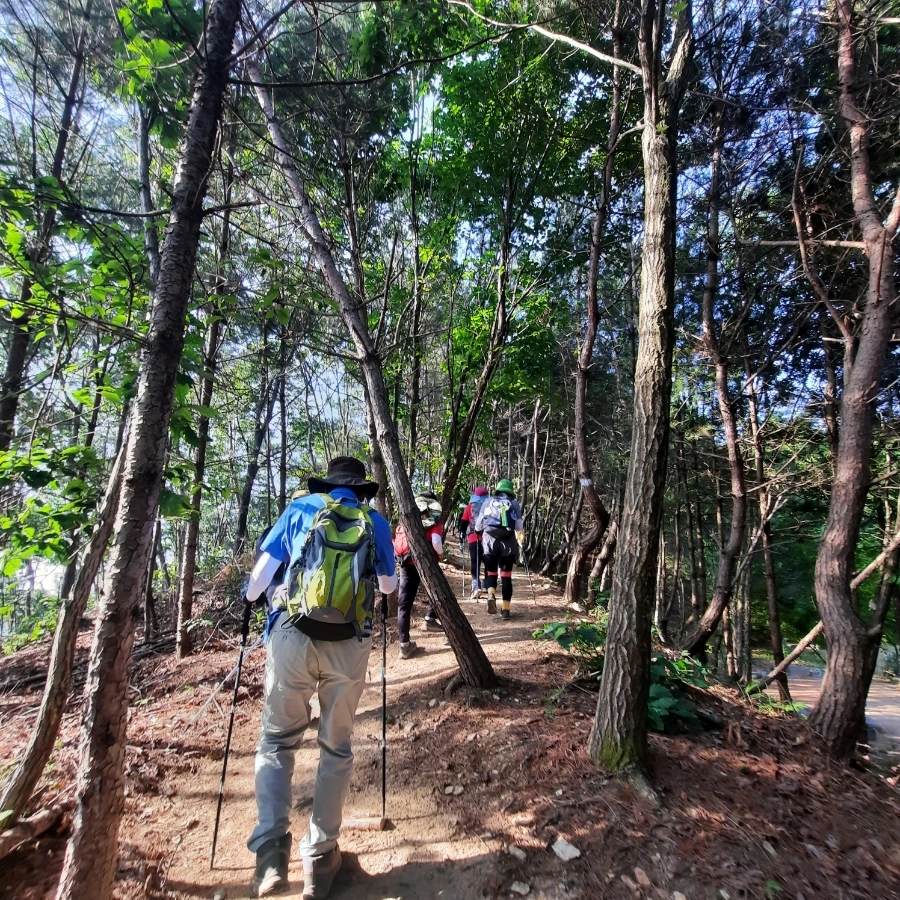 20240612%EF%BC%BF074821.jpg?type=w1