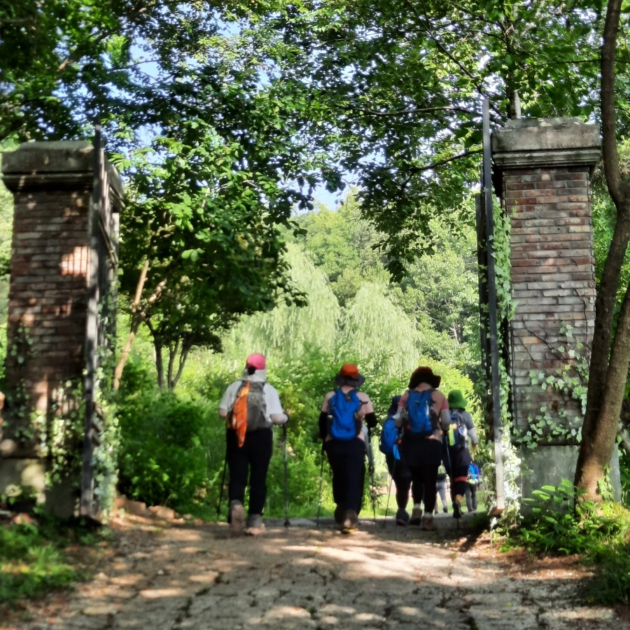 20240612%EF%BC%BF074141.jpg?type=w1