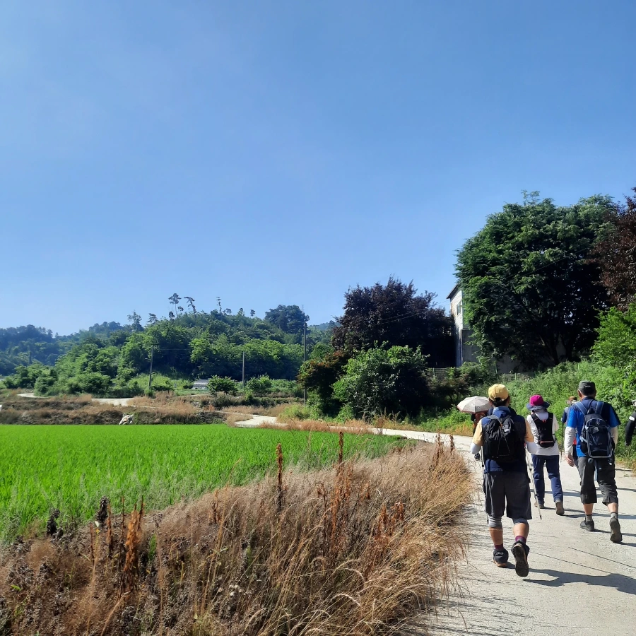 20240612%EF%BC%BF091011.jpg?type=w1