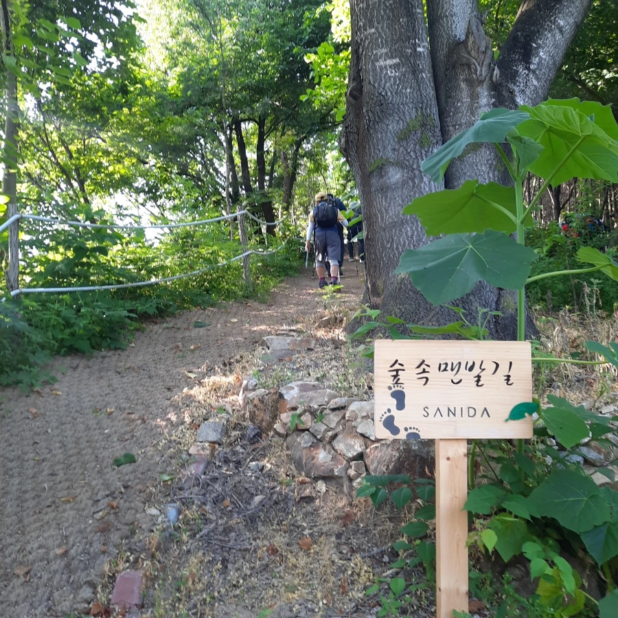 20240612%EF%BC%BF074707.jpg?type=w1