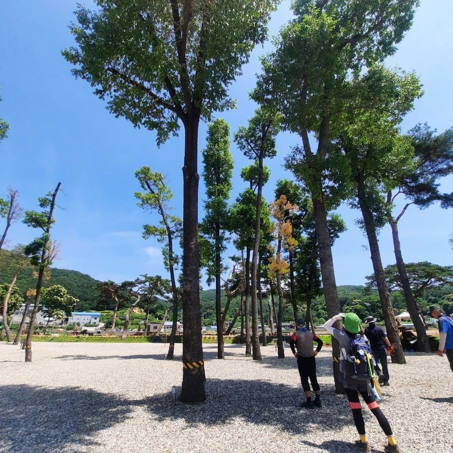 20240612%EF%BC%BF112842.jpg?type=w1