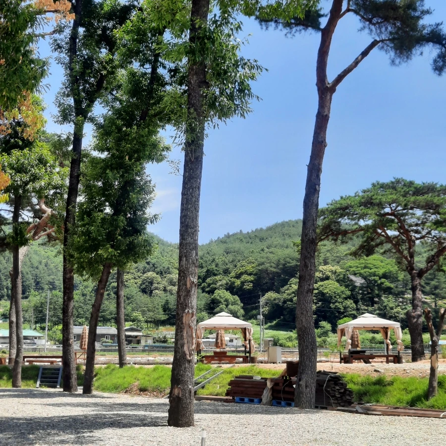 20240612%EF%BC%BF112807.jpg?type=w1