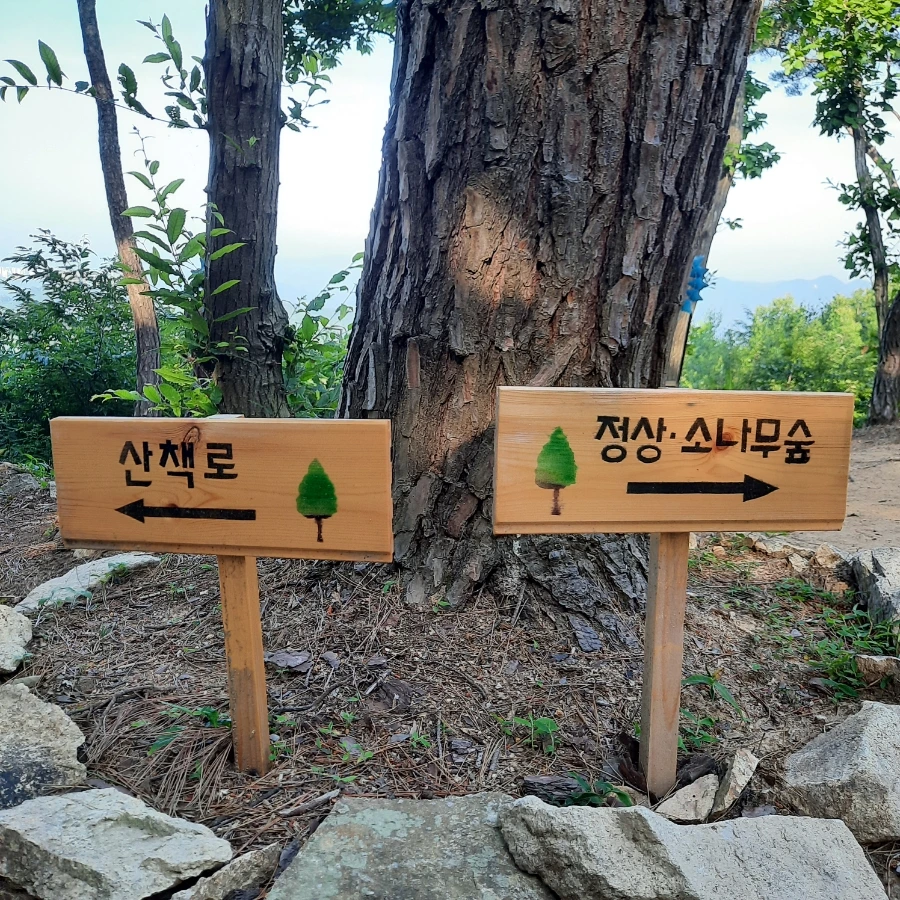 20240612%EF%BC%BF075124.jpg?type=w1