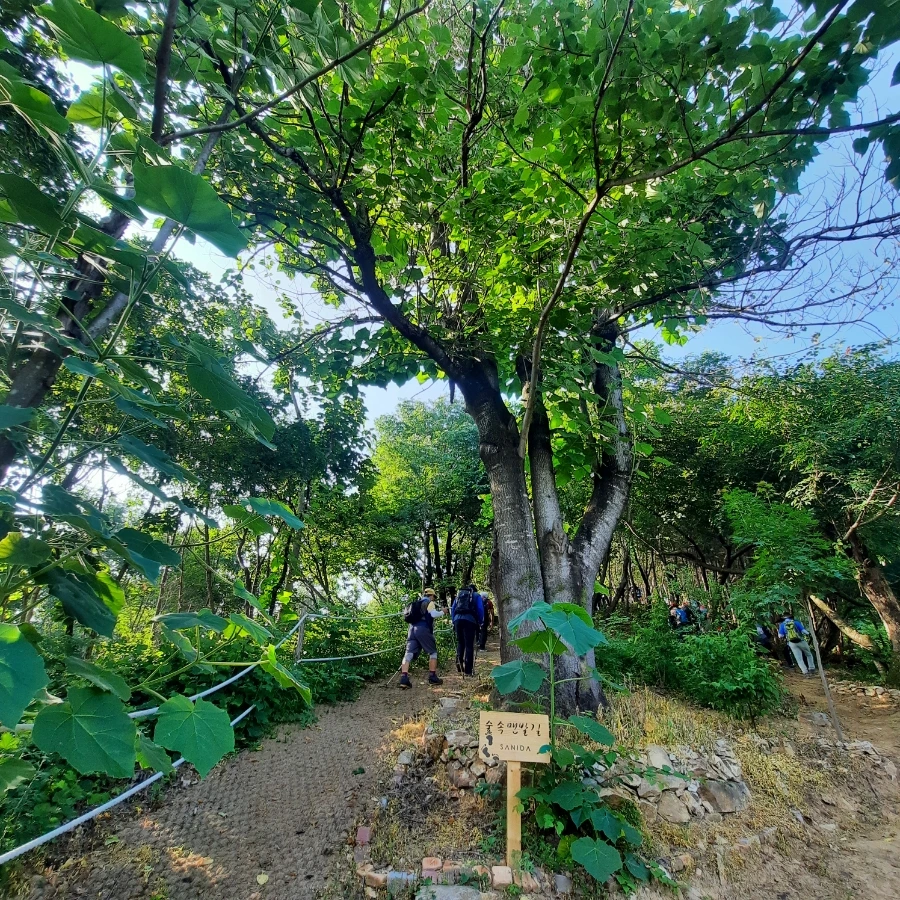 20240612%EF%BC%BF074702.jpg?type=w1