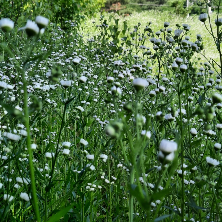 20240612%EF%BC%BF073459.jpg?type=w1