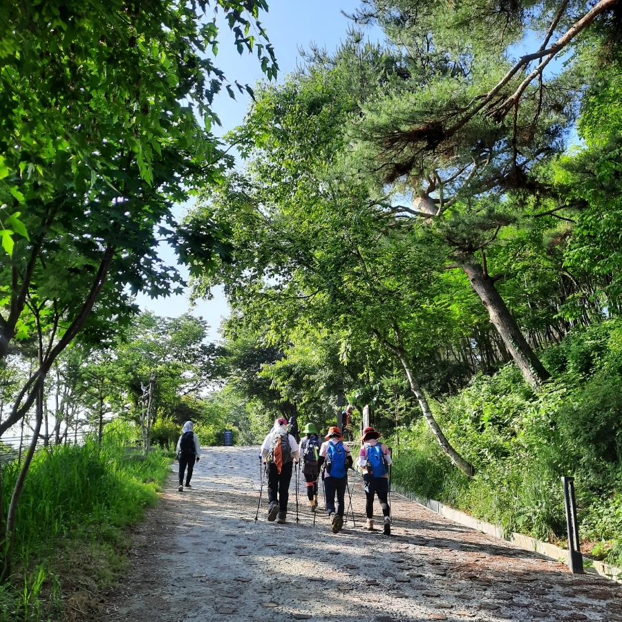 20240612%EF%BC%BF074059.jpg?type=w1