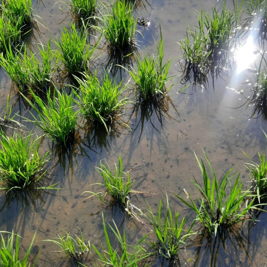 20240612%EF%BC%BF091112.jpg?type=w1