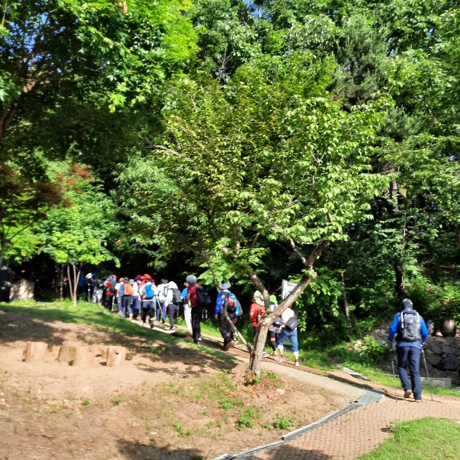 20240612%EF%BC%BF074408.jpg?type=w1