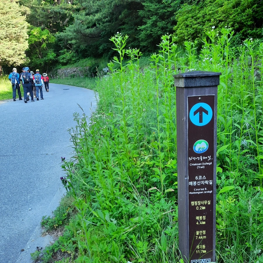 20240605%EF%BC%BF081055.jpg?type=w1