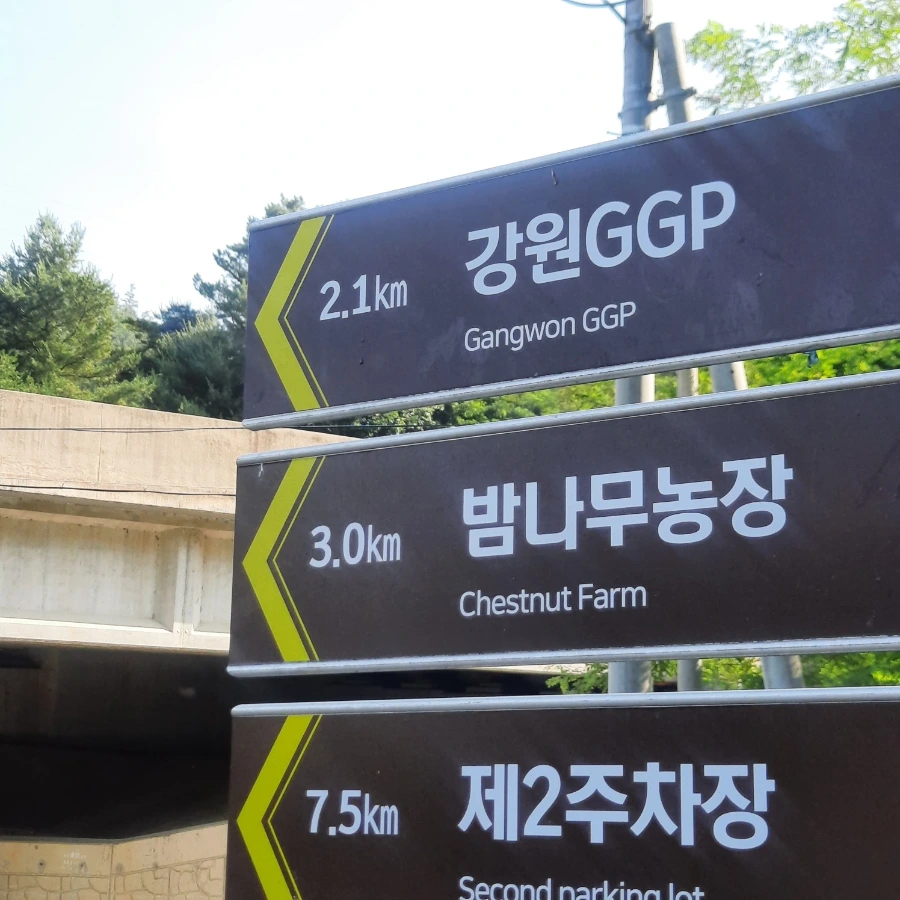 20240612%EF%BC%BF081911.jpg?type=w1