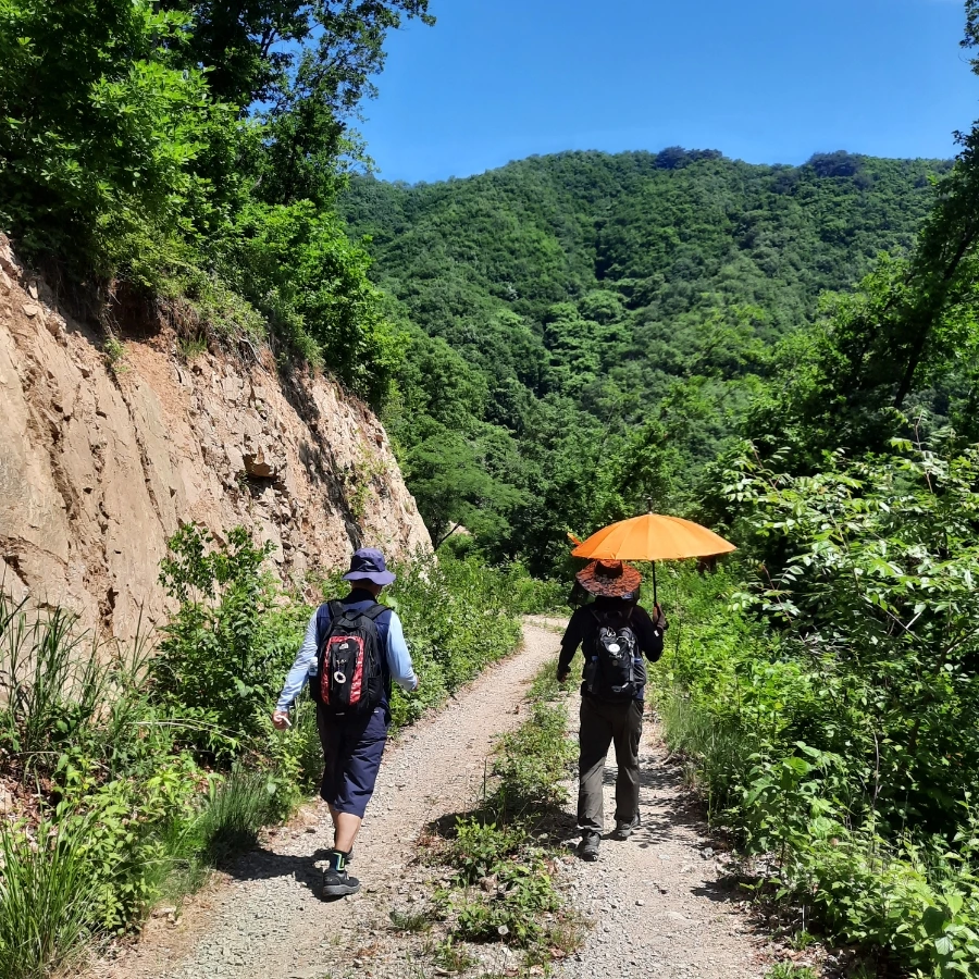 20240605%EF%BC%BF103856.jpg?type=w1