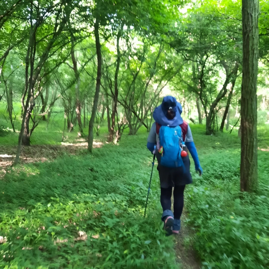 20240612%EF%BC%BF083402.jpg?type=w1