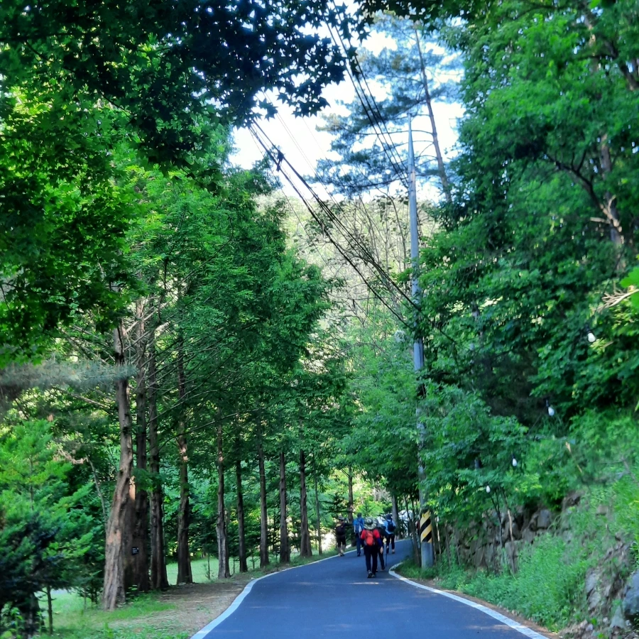 20240605%EF%BC%BF081842.jpg?type=w1