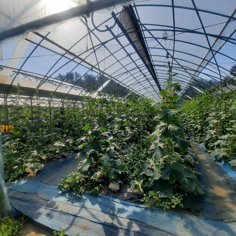 20240612%EF%BC%BF084637.jpg?type=w1