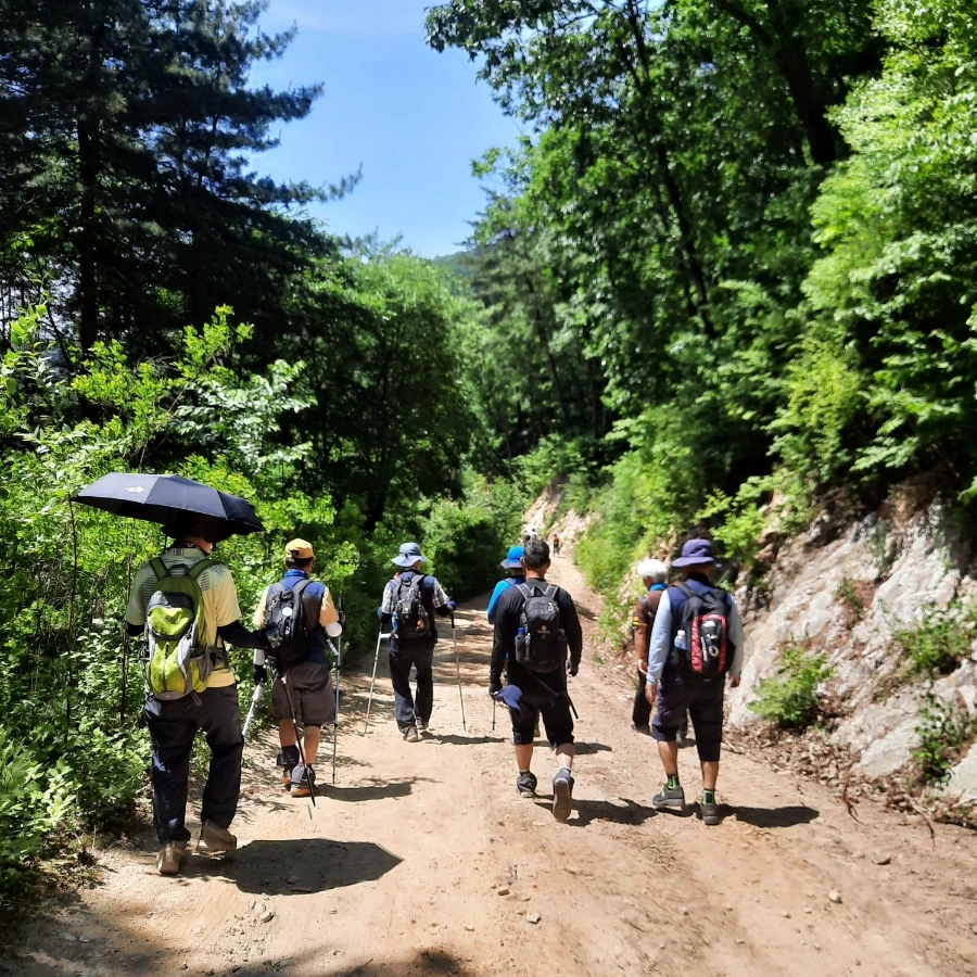 20240605%EF%BC%BF110742.jpg?type=w1