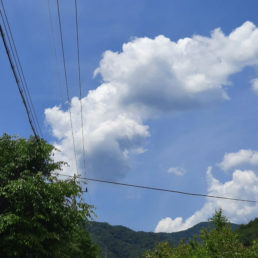 20240605%EF%BC%BF115801.jpg?type=w1