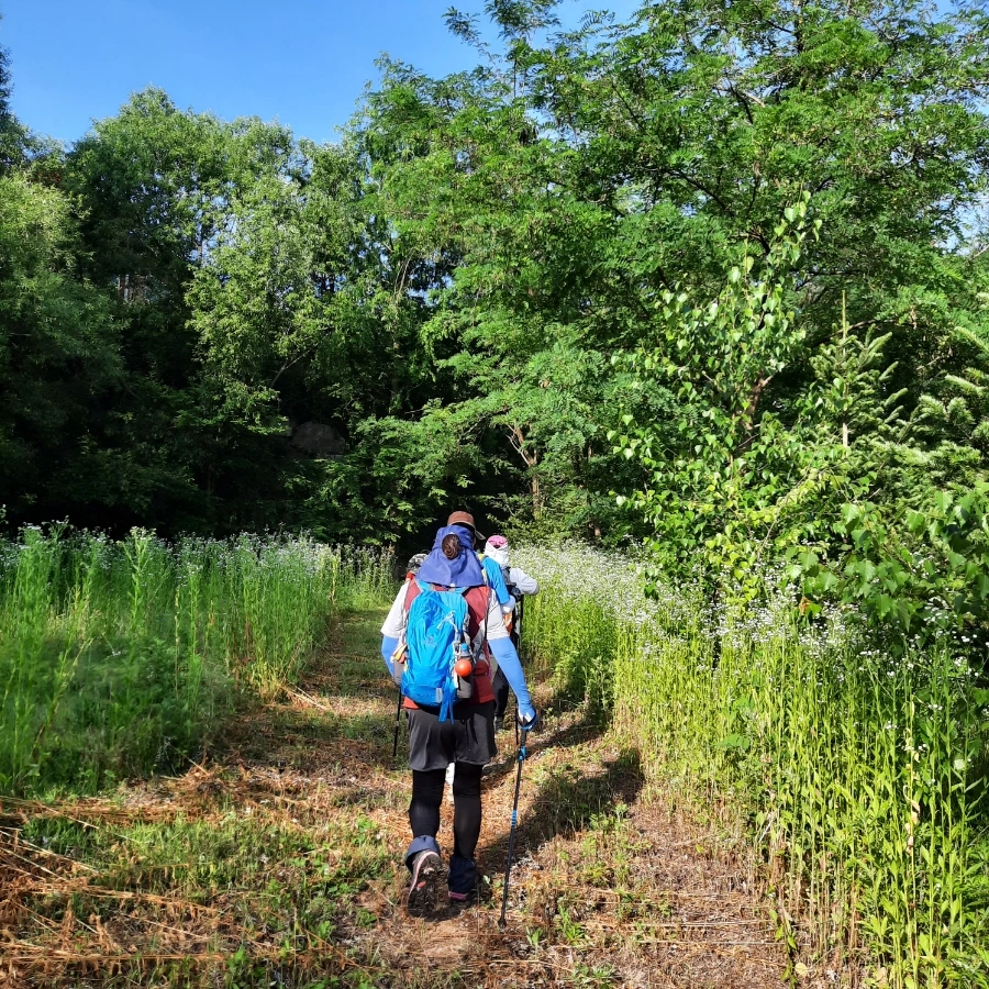 20240612%EF%BC%BF073307.jpg?type=w1