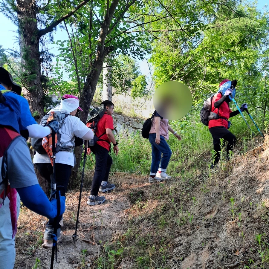 SE-81d5011a-288b-11ef-8ae7-150a9316fb3d.jpg?type=w1