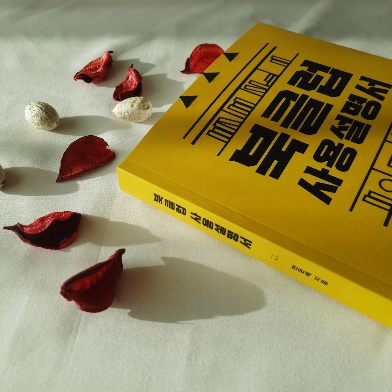 KakaoTalk_Photo_2022-12-24-18-36-20 004.jpeg