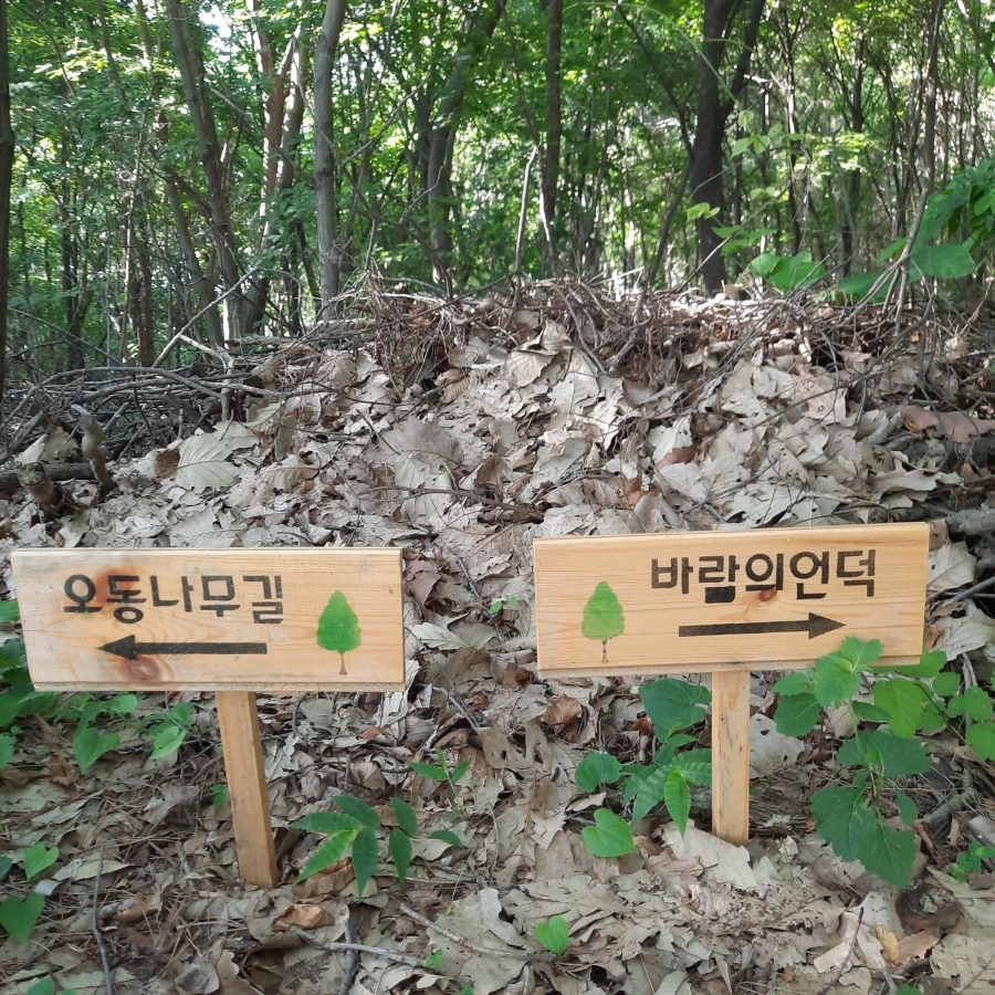 20240612%EF%BC%BF075006.jpg?type=w1