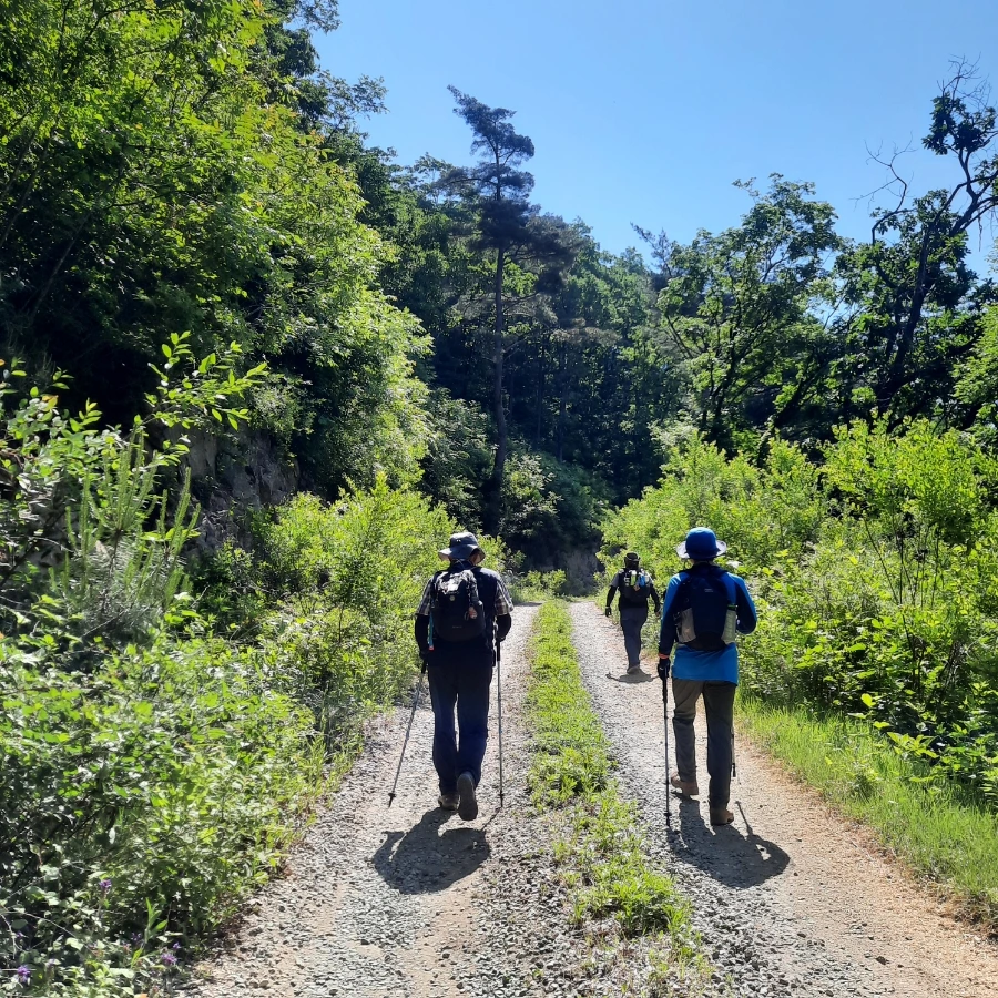 20240605%EF%BC%BF094827.jpg?type=w1