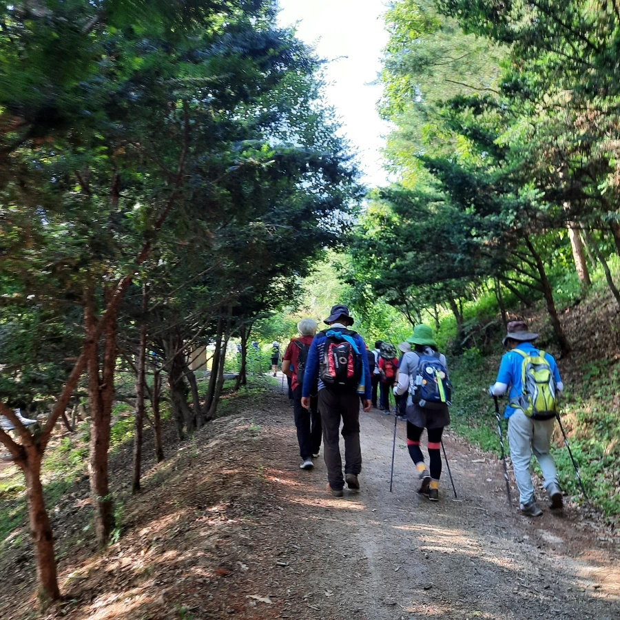 20240612%EF%BC%BF074507.jpg?type=w1