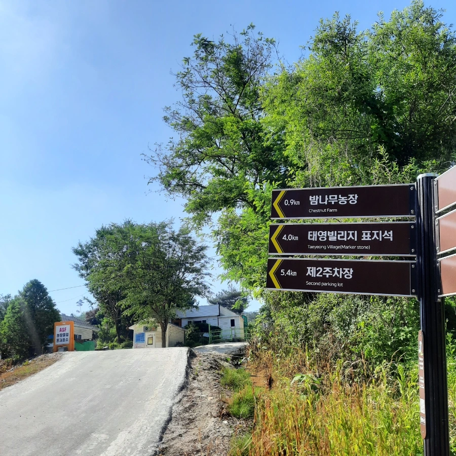 20240612%EF%BC%BF090000.jpg?type=w1